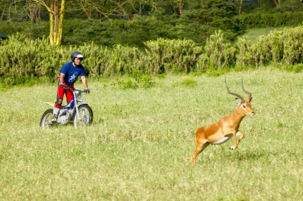 Medioambiente - Bonaigua - Trial